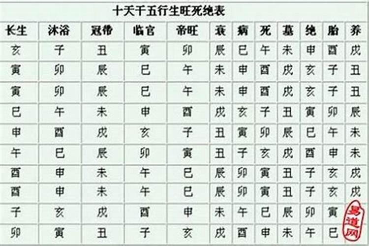 八字算命养什么意思