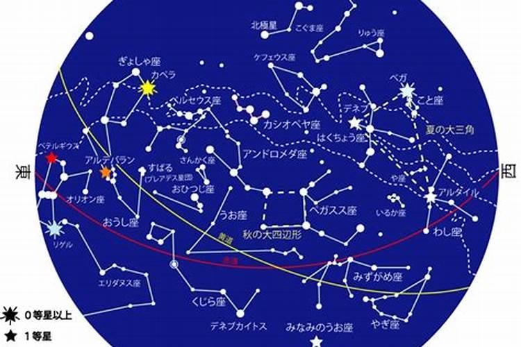 11月23号星座的