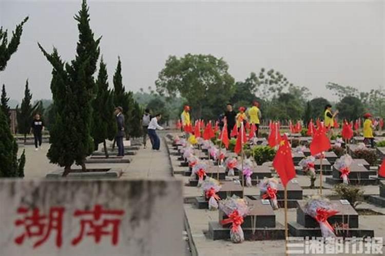 清明严禁祭扫