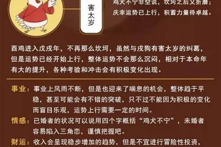 犯太岁如何用数学化解