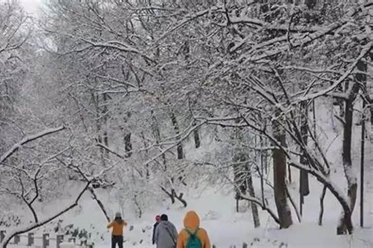 几几年正月十五下大雪了