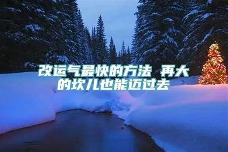 怀孕总是梦见牛什么意思