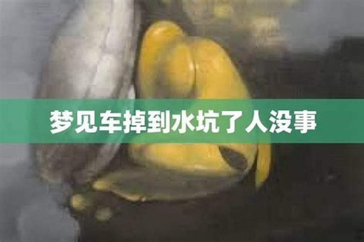 梦见连人带车掉水里了