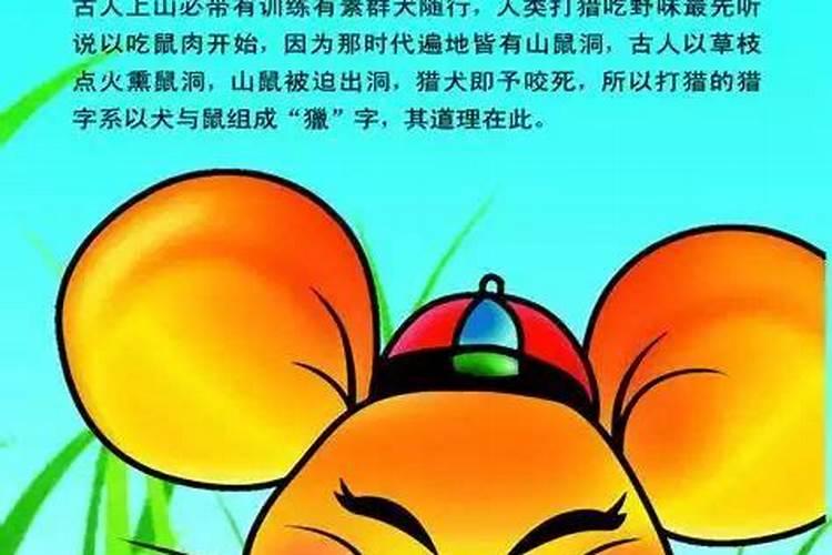 属鼠的和属什么相克