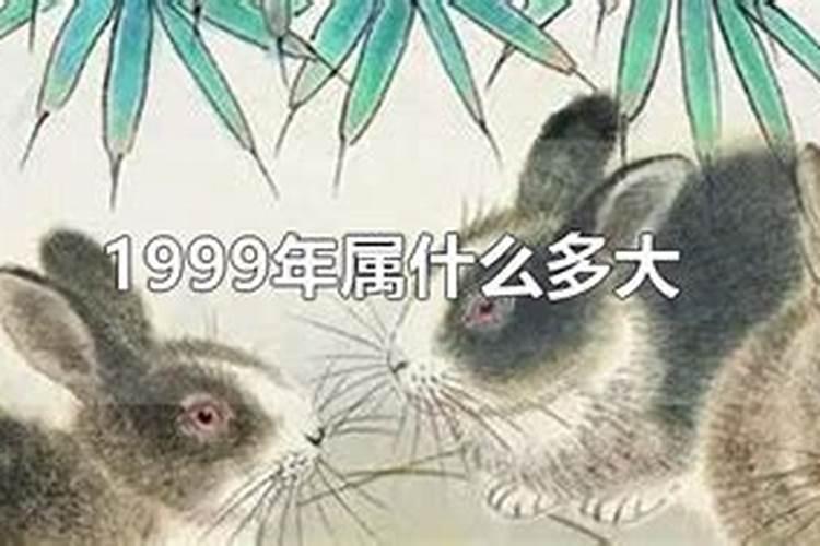 99年2021年属什么