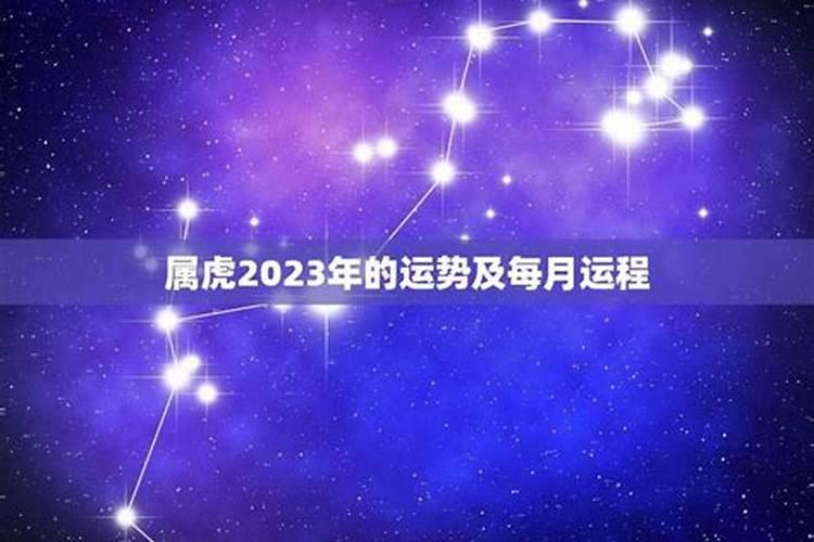 属虎2023年运势运程每月运程