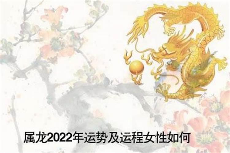 20231属龙人的全年运势女