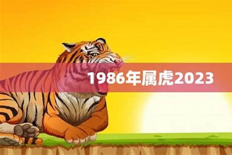 1986虎年出生的人命运如何