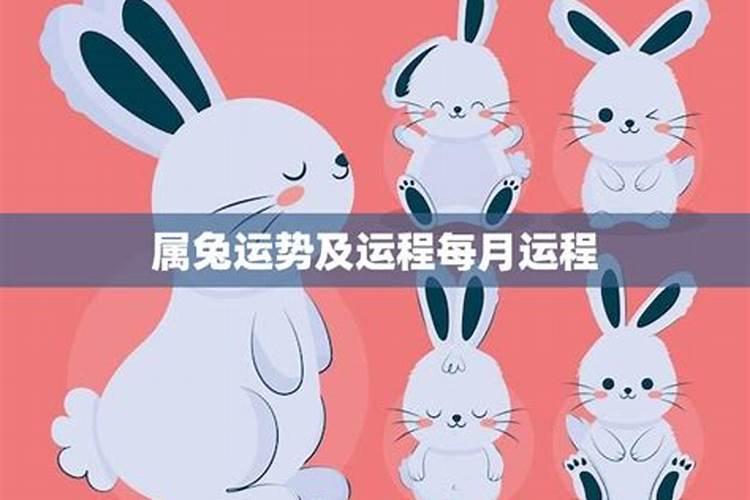 属兔的4月份运势如何