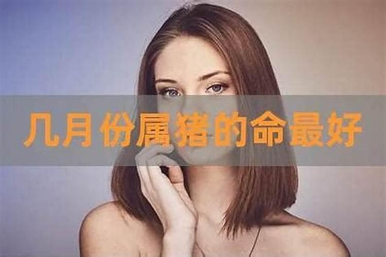 属猪的是什么星座的女生