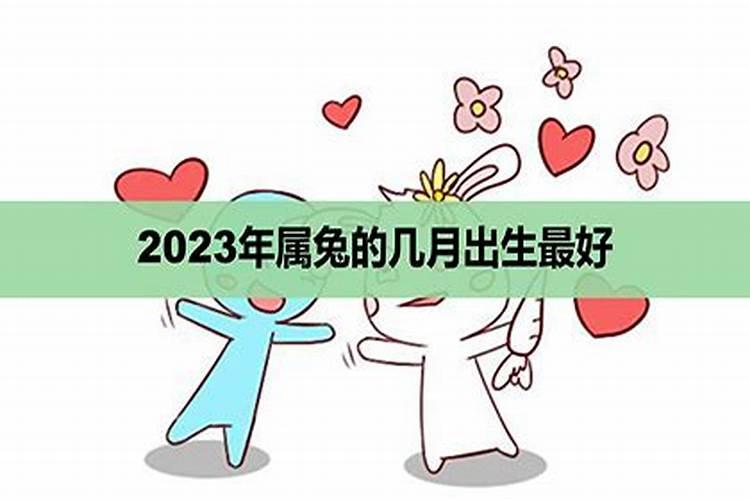 2023属兔的几月出生最好的呢