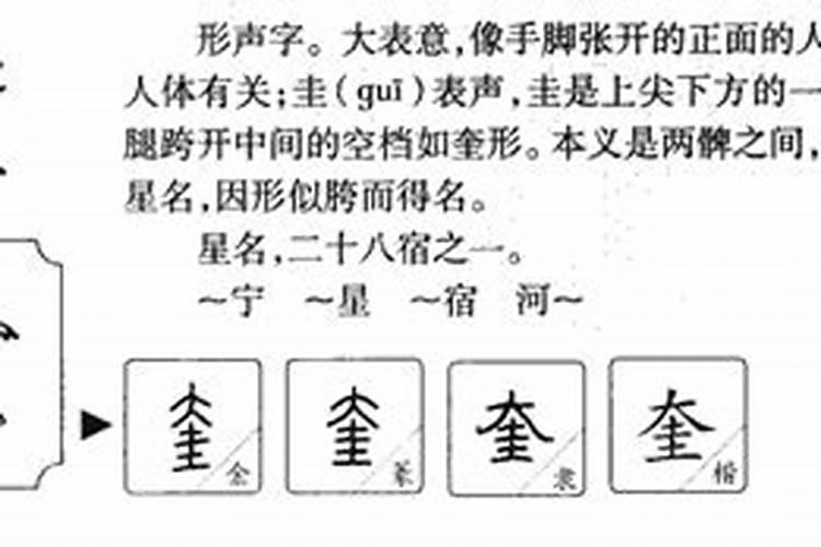 奎字五行属什么属性木和火相配