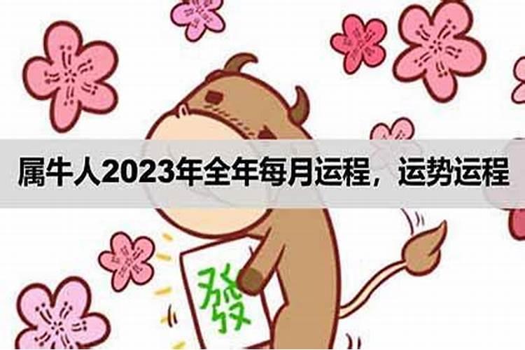 2023年属牛人运程每月运程