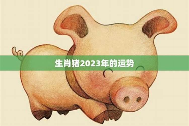 1995属猪2023年运势
