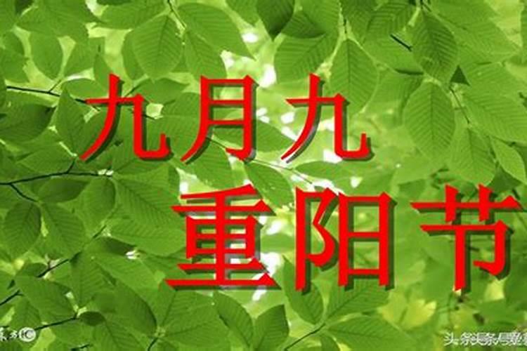 重阳节是哪个名人的节日