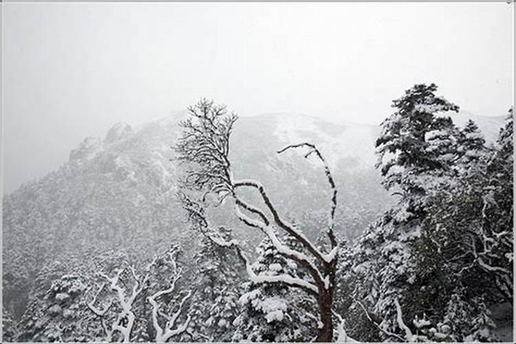 做梦梦到风雪交加