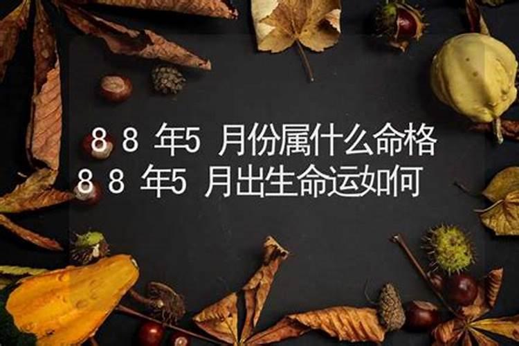 梦见吃枣什么意思周公解梦