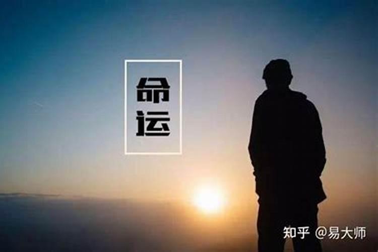 属龙人今年犯什么太岁