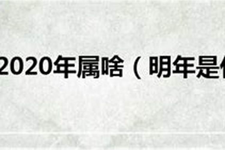 26岁今年多大了属什么的2023