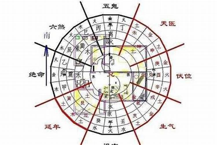 处女座明年的爱情运势是什么样的