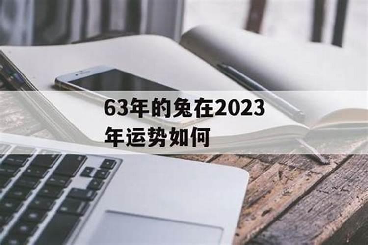 63年的兔在2022年的运势