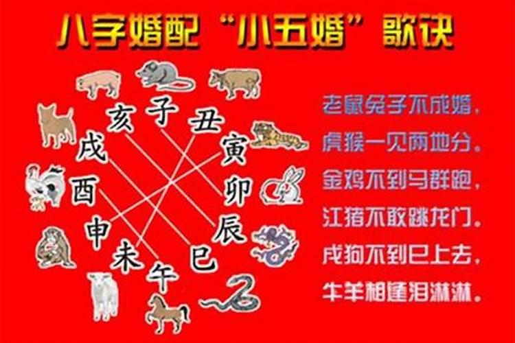 猴2022年刑太岁什么意思