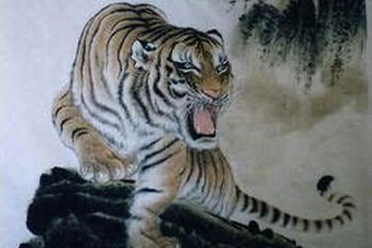 86年正月十五出生的虎
