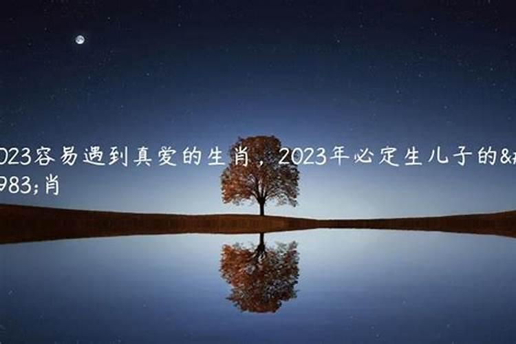 2023年那些生肖必生男孩