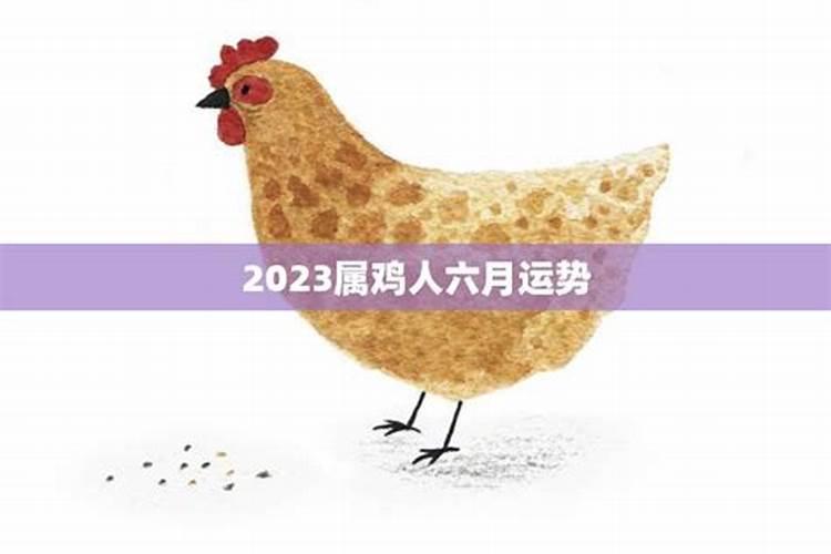 属猪本命年2023年运势及运程