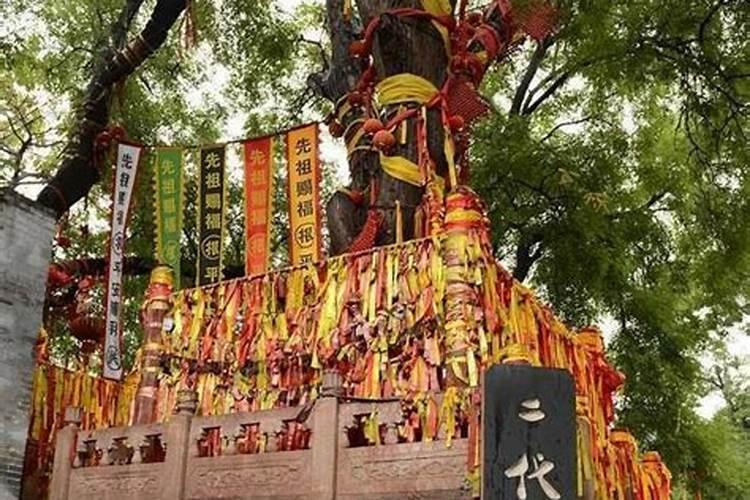 中元节洪洞祭祖