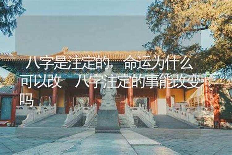 为什么婚姻八字这么硬