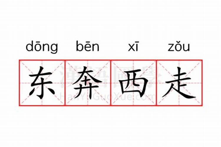 东奔西走是什么生肖最佳答案