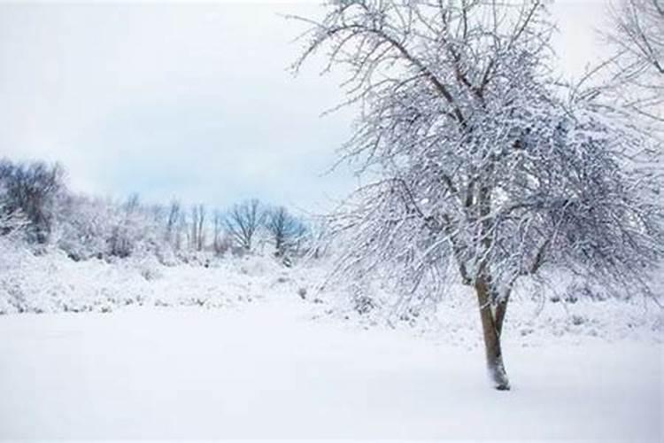 梦见下雪什么意思,现在是5月