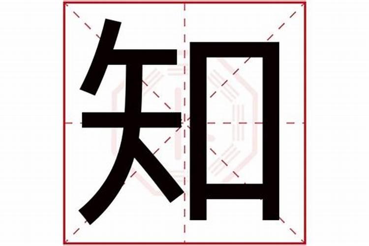 知字五行属什么