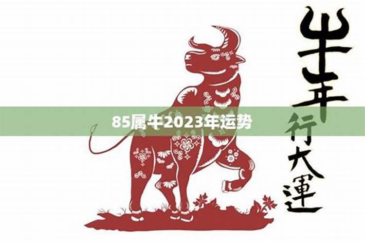 2023年85岁属什么生肖属相