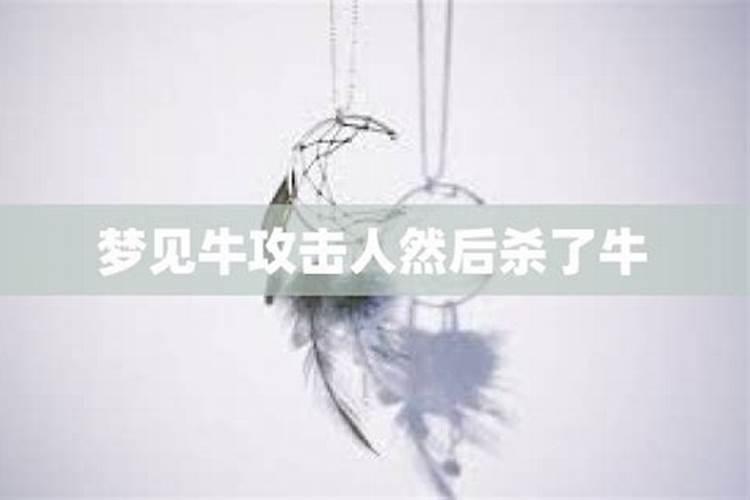 梦见牛发疯攻击别人一群