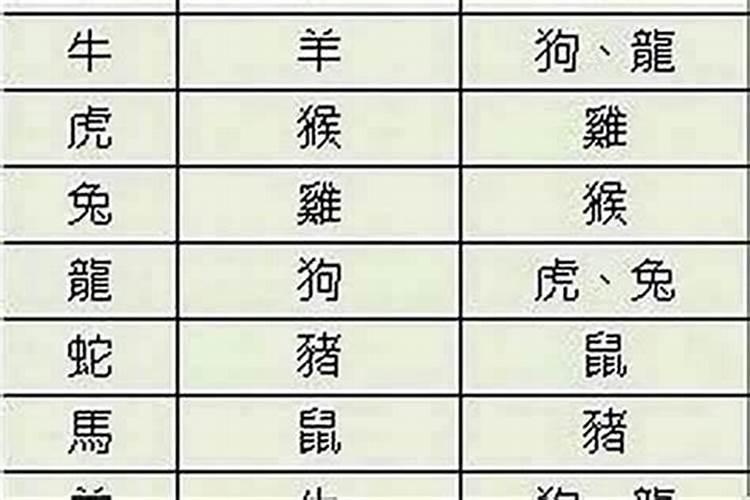 生肖属相婚配能信吗