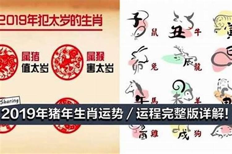 属猴和属鼠的八字合不合财