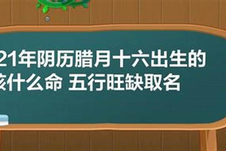 农历腊月十六是什么花