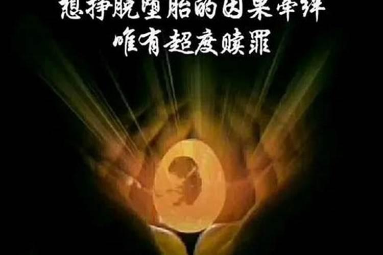 什么属相不能养牛