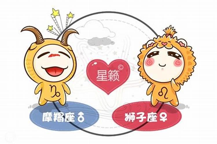 茶叶五行中属什么属性