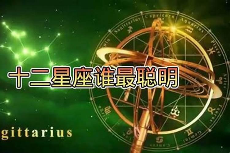 12星座哪个最聪明