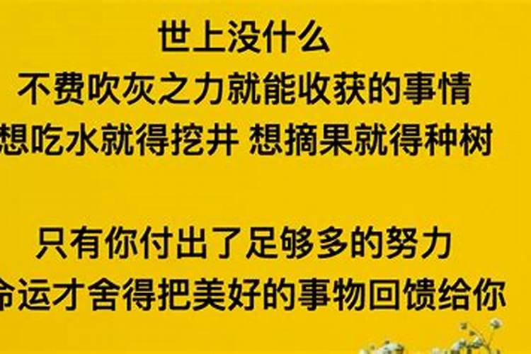 本命年今年的财运如何看呢