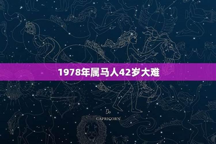 78年属马42岁以后财运五行相生相克