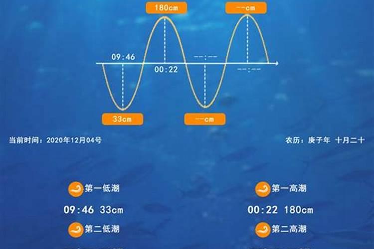 七月十五几点退潮