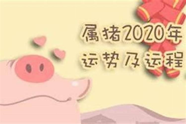 2019猪年运势及运程详解