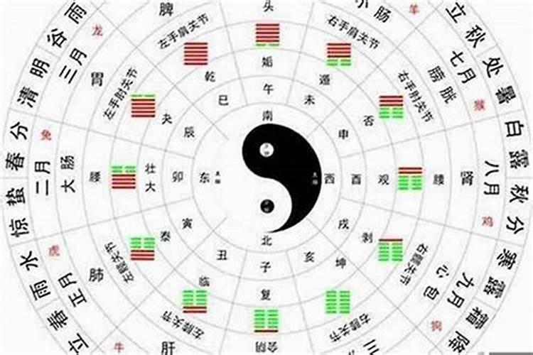 12生肖的金木水火土数字