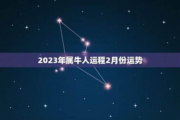 属牛2月运势如何