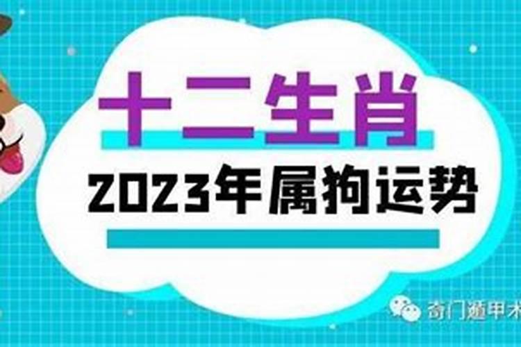 狗年1983属猪人的运势如何