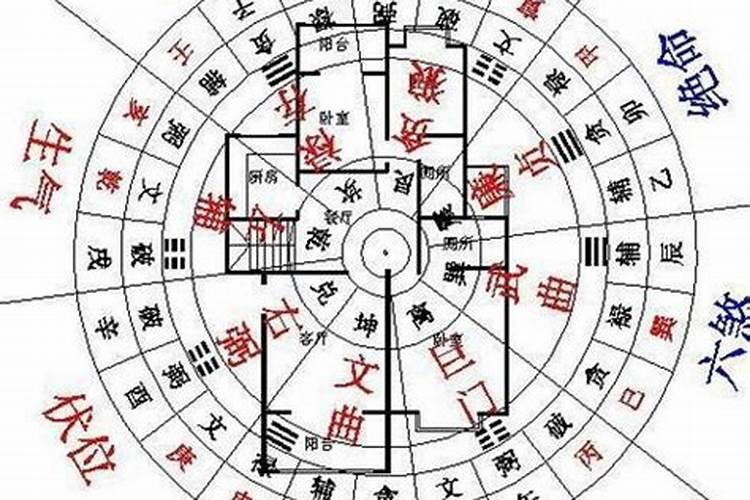 专业算命大师